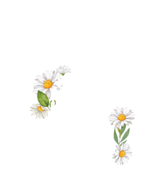Dacă o vezi îmbrăcată în acest tricou, înseamnă că astăzi tu speli vasele. Mama se odihnește astăzi. model negru pe tricou