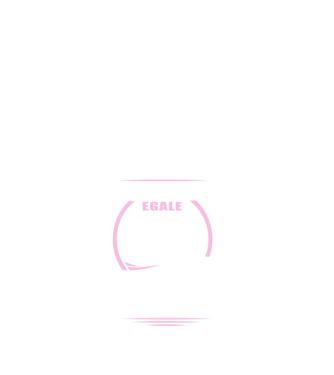 Toate femeile se nasc egale, dar numai cele mai bune devin coafeze model negru pe tricou