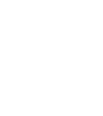 Camion 2. model turcoaz pe tricou