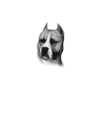 Staffordshire Terrier model galben neon pe tricou