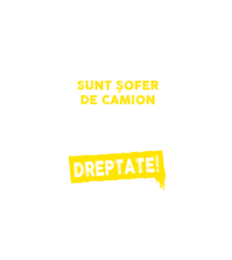 Sunt șofer de camion, pentru a economisi timp, să reținem că am întotdeauna dreptate! model negru pe tricou