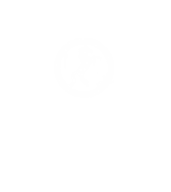 horse badge model turcoaz pe tricou