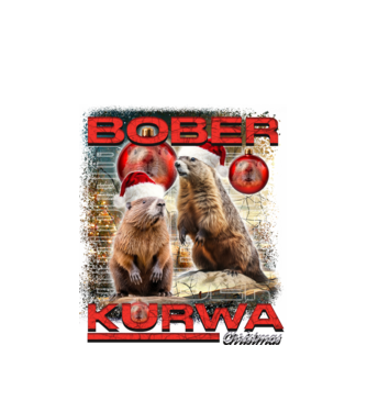 Bober kurwa christmas universe model alb pe tricou