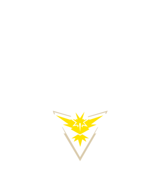 Instinct team logo model alb pe tricou