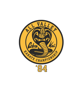 all valley karate cobra kai model alb pe tricou