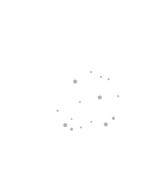 Brigada de băutură model alb pe tricou