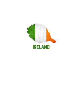 Steag irlandez model alb pe tricou