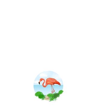 Flamingo model alb pe tricou