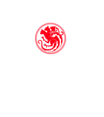 Mother of cats model negru pe tricou