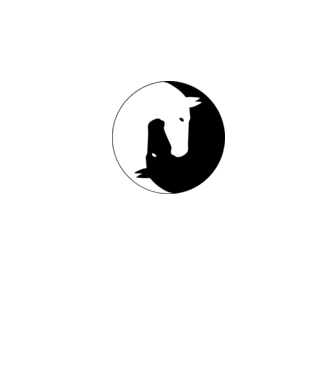 Lovas ying-yang model alb pe tricou