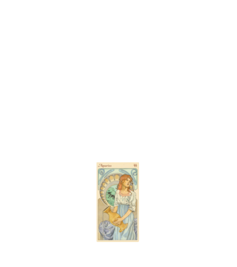 Horoscop Tarot VARSATOR model alb pe tricou