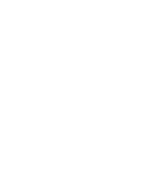 Crazy Cat Ladies are born in December model negru pe tricou