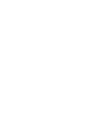 Mr never right model turcoaz pe tricou