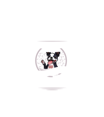 Toți sunt egali, dar numai cei mai buni devin stăpâni de boston lght model negru pe tricou