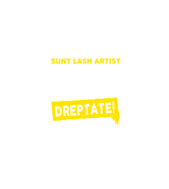 sunt LASH ARTIST, pentru a economisi timp, să reținem că am întotdeauna dreptate model negru pe tricou