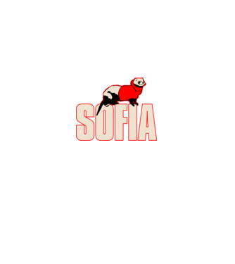 sofia la casa de papel model negru pe tricou