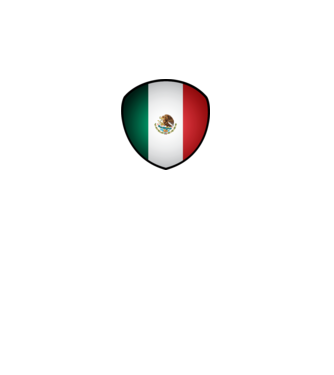 MEX-jabulani-flag model alb pe tricou