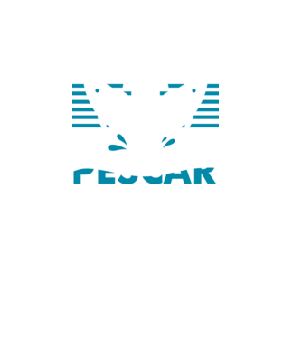 Pescar original model negru pe tricou