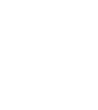 Camion 2. model gri pe tricou
