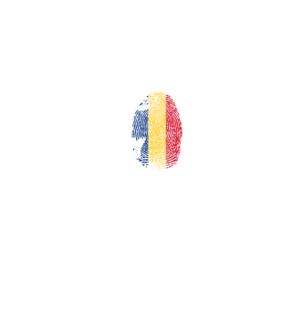 its in my dna model negru pe tricou