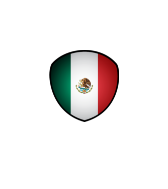MEX-jabulani-flag model alb pe tricou