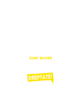 sunt boxer - pentru a economisi timp, să reținem că am întotdeauna dreptate model negru pe tricou