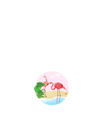 Flamingo model alb pe tricou