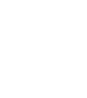 Regele - ceaunului! model negru pe tricou