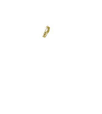 King in the north 2c model negru pe tricou