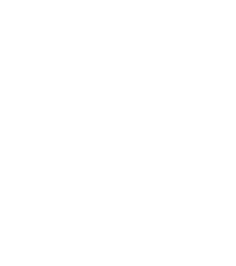 not your ... trandafirul meu model turcoaz pe tricou