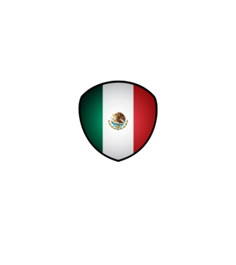 MEX-jabulani-flag model alb pe tricou