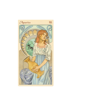 Horoscop Tarot VARSATOR model negru pe tricou