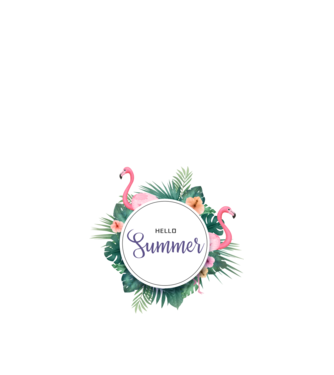 Hello summer model nisipiu pe tricou