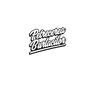 petrecerea burlacilor model gri închis pe tricou