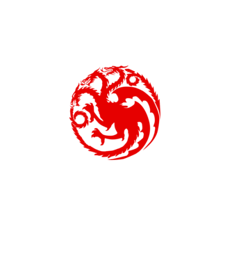 Targaryen model gri pe tricou