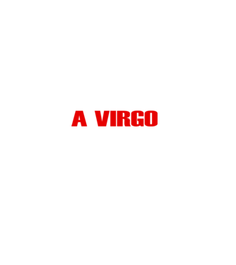Piss of a VIRGO model negru pe tricou