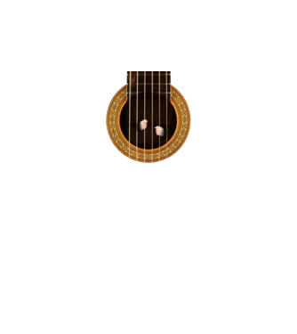 Guitar prison model negru pe tricou