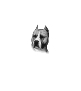 Staffordshire Terrier model alb pe tricou