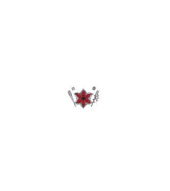 stranger things demogorgon head model negru pe tricou