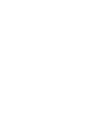 Crazy Cat Ladies are born in January model negru pe tricou
