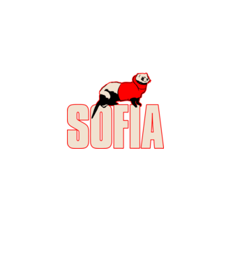 sofia la casa de papel model negru pe tricou