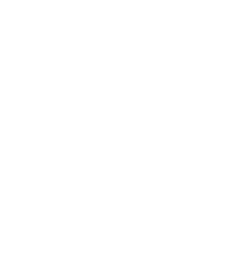 România Dracula 2 model negru pe tricou