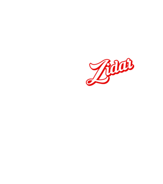 Cel mai bun ZIDAR din lume model galben neon pe tricou