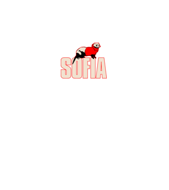 sofia la casa de papel model negru pe tricou