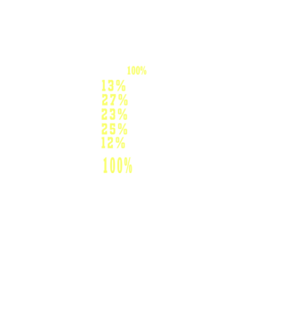 I give 100% at school model verde neon pe tricou