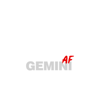 GEMINI as fuck model negru pe tricou