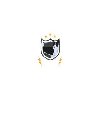 serviciu de securitate - securitate - persistență - 24 de ore pe zi model negru pe tricou