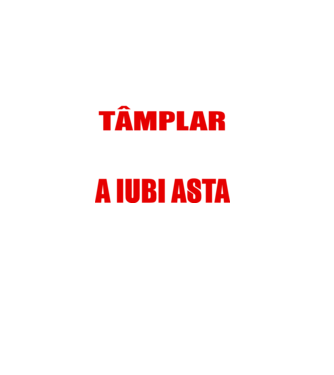 Sunt suficient de priceput pentru a fi TÂMPLAR și suficient de nebun pentru a iubi asta model negru pe tricou