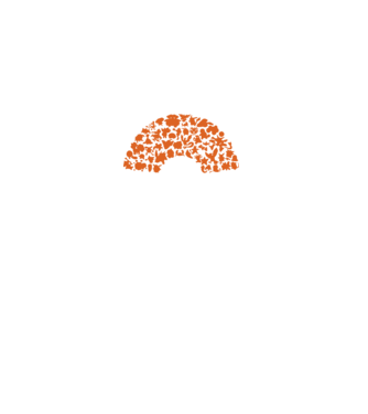 Pokeball model negru pe tricou