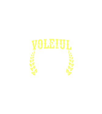 Singurul lucru mai bun decât voleiul este să fiu tată model negru pe tricou